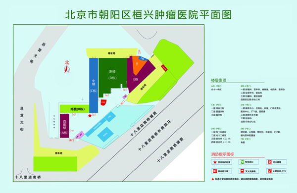 操我逼网你北京市朝阳区桓兴肿瘤医院平面图